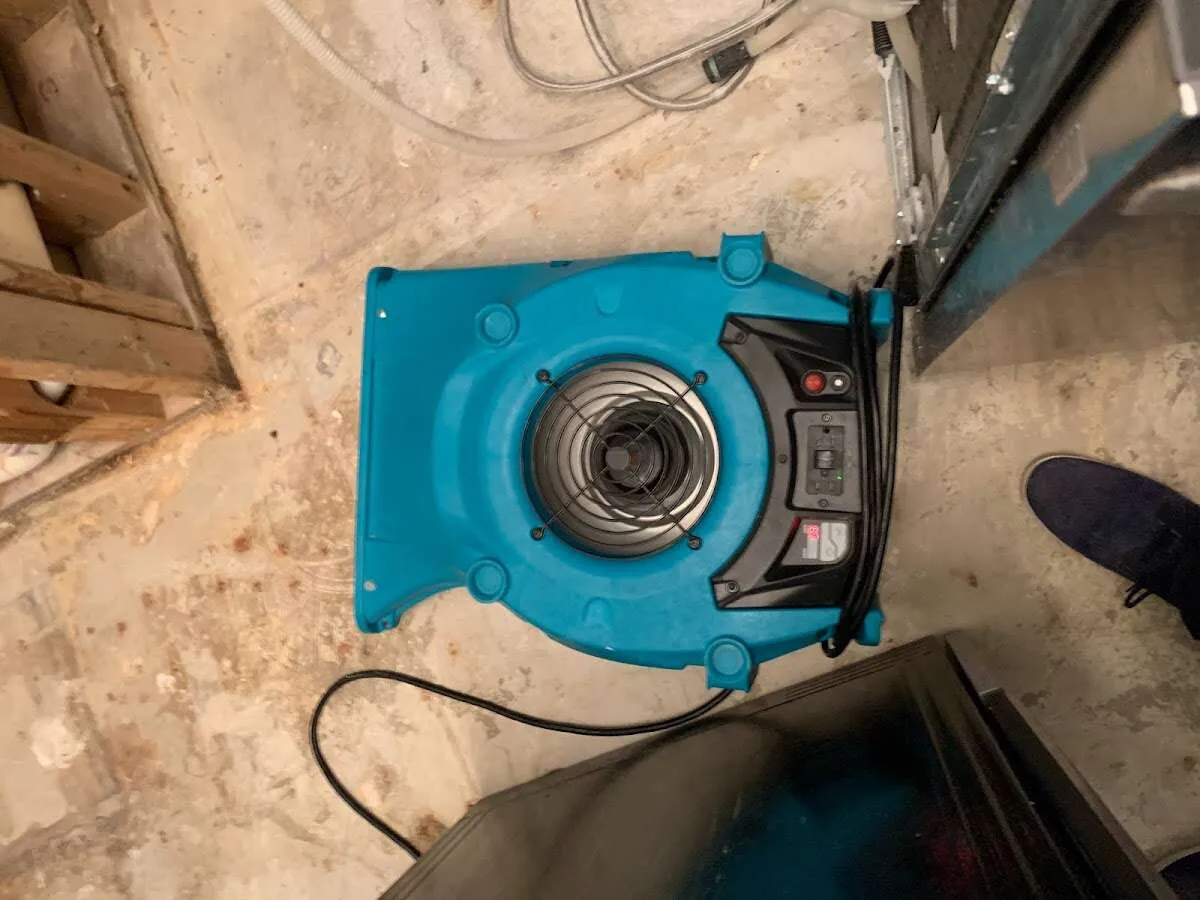 Air mover drying equipment for Mold Remediation & Removal in Kearney